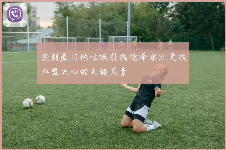 热刺豪门地位吸引我德泽尔比是我加盟决心的关键因素