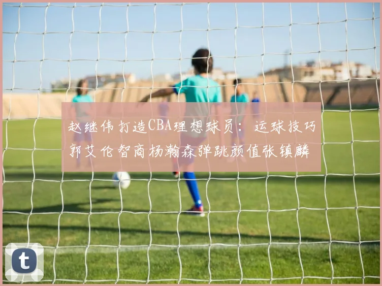 赵继伟打造CBA理想球员：运球技巧郭艾伦智商杨瀚森弹跳颜值张镇麟完美结合